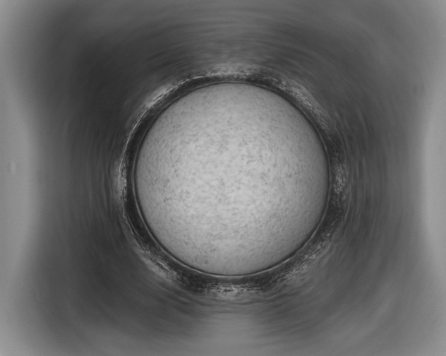 X0000116610632200912181207