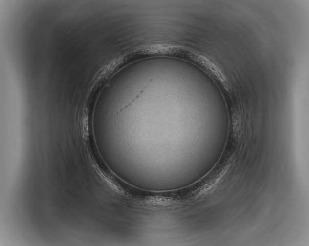 X0000116610633200912181207