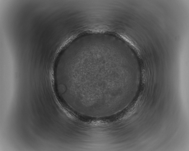 X0000116610634200912181207