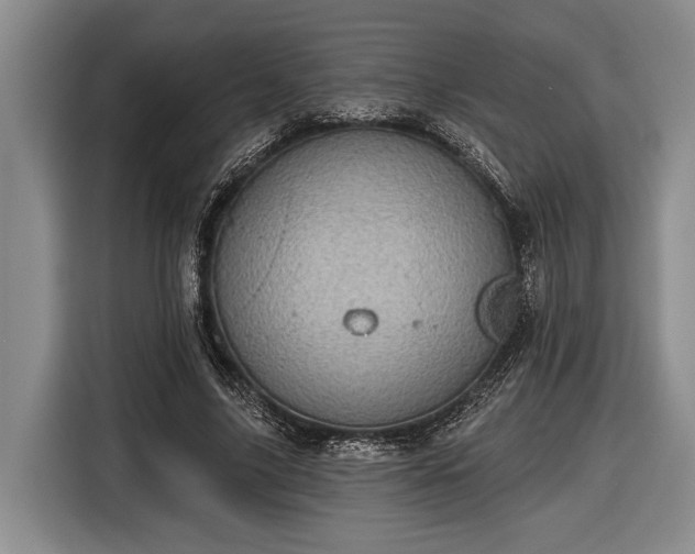 X0000116610635200912181207