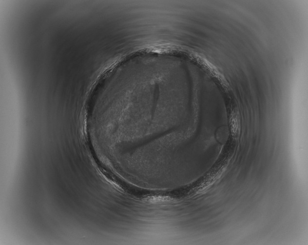 X0000116610637200912181207