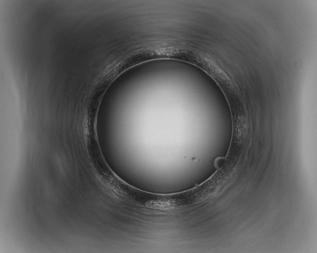 X0000116610639200912181207