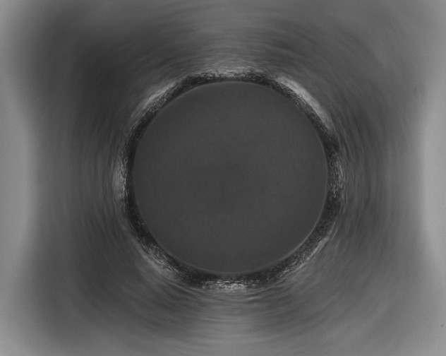 X0000116610640200912181207