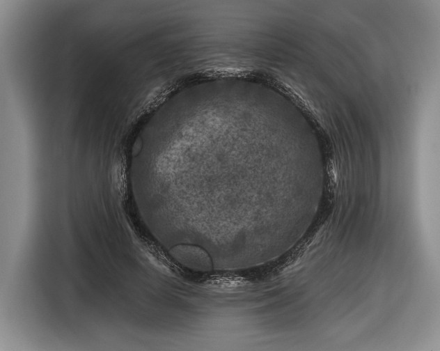 X0000116610642200912181207