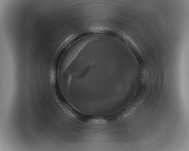 X0000116610644200912181207