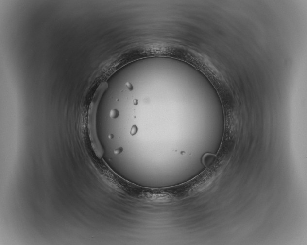 X0000116610645200912181207