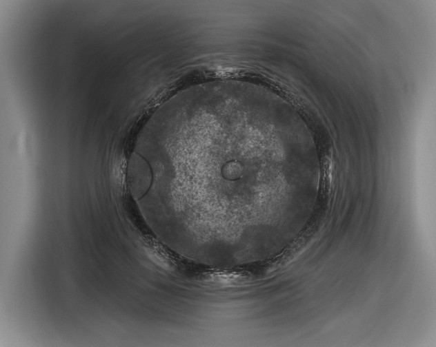 X0000116610650200912181207