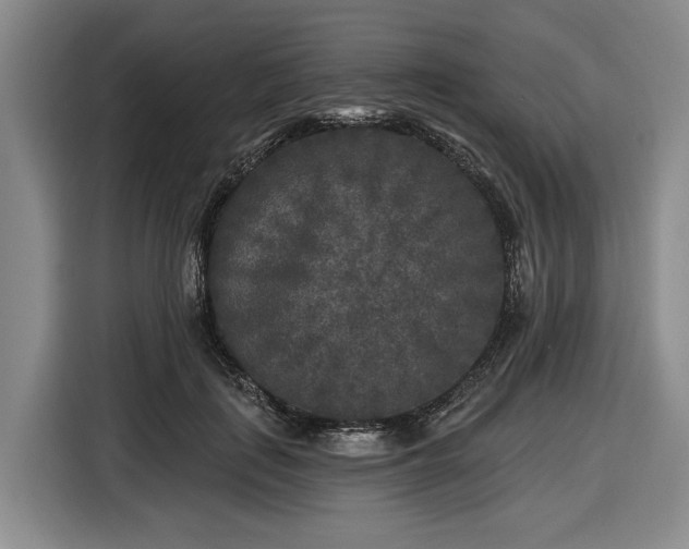 X0000116610651200912181207