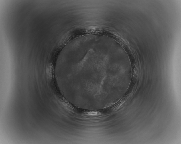 X0000116610659200912181207