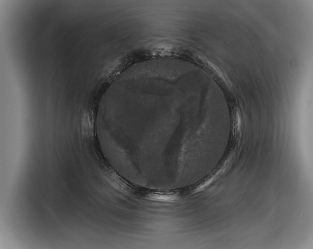 X0000116610661200912181207