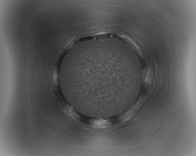 X0000116610669200912181207