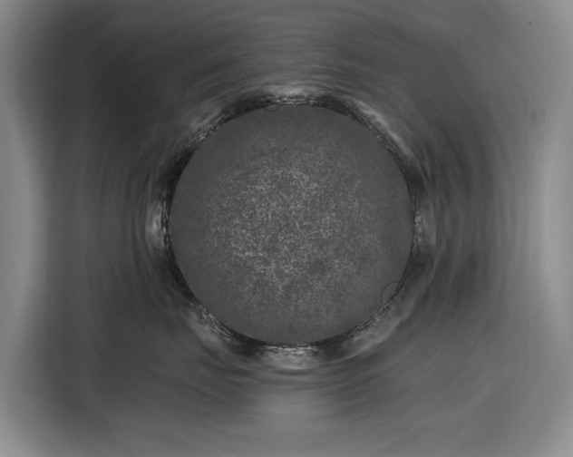 X0000116610671200912181207