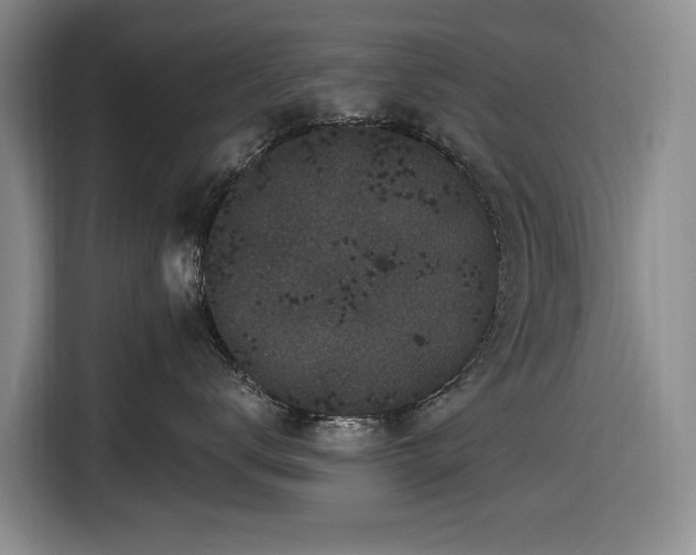 X0000116610672200912181207