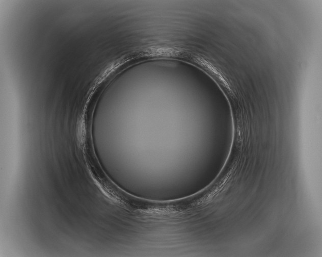 X0000116610674200912181207