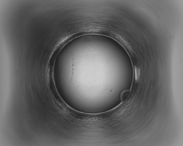 X0000116610675200912181207