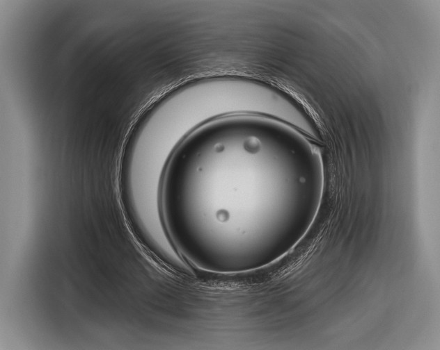 X0000116610677200912181207