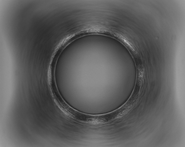 X0000116610678200912181207