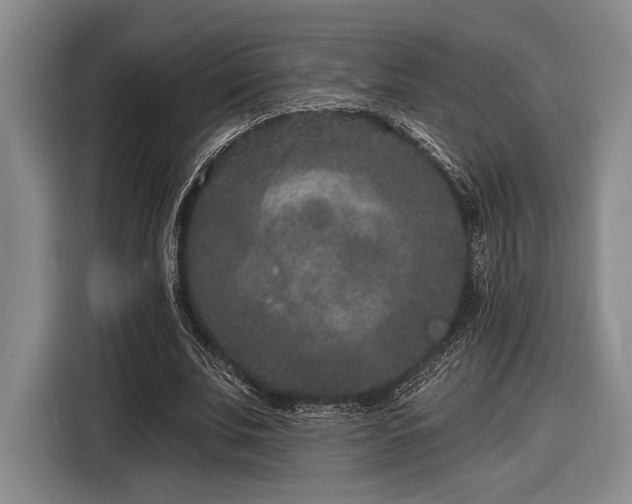 X0000116610679200912181207