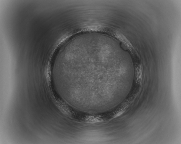 X0000116610680200912181207