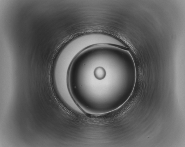 X0000116610681200912181207