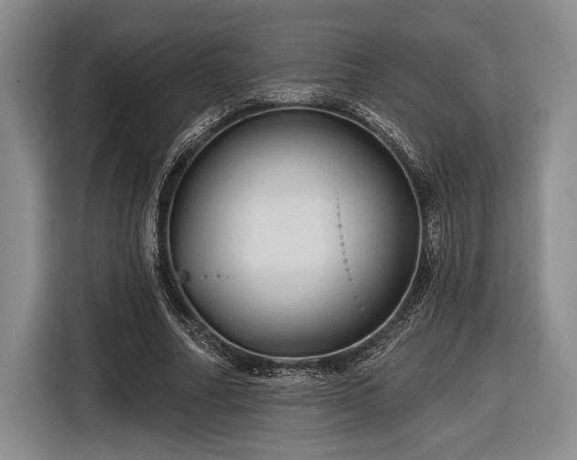 X0000116610682200912181207