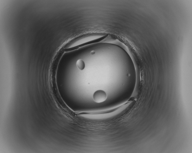 X0000116610684200912181207