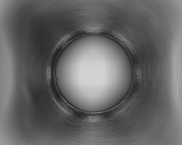 X0000116610686200912181207