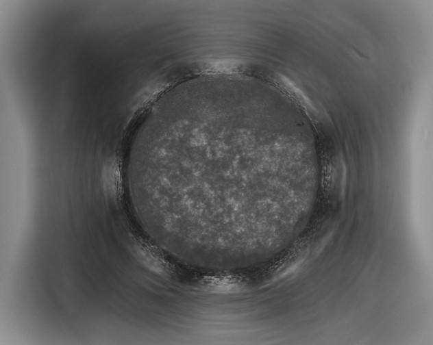 X0000116610688200912181206