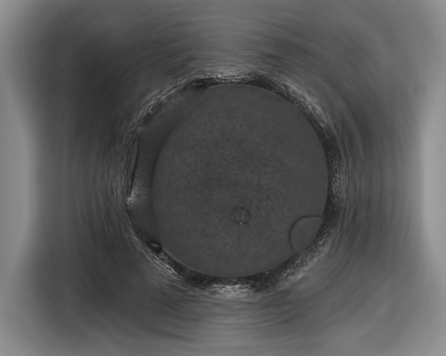 X0000116610689200912181206