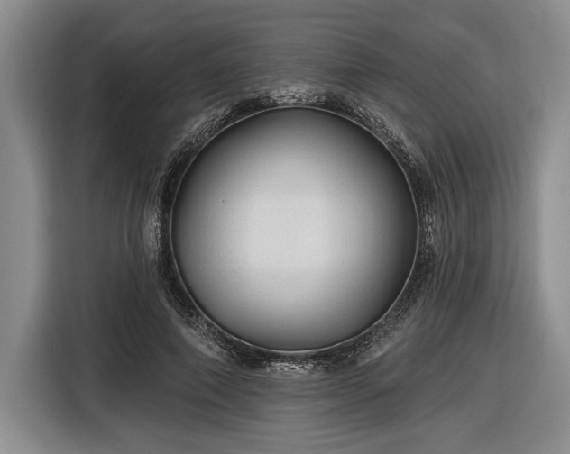 X0000116610690200912181206