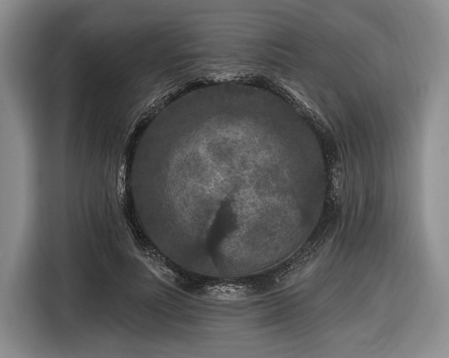 X0000116610691200912181206