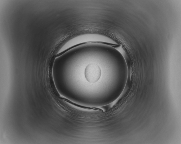 X0000116610692200912181206