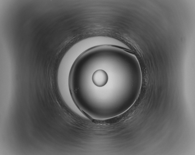 X0000116610693200912181206