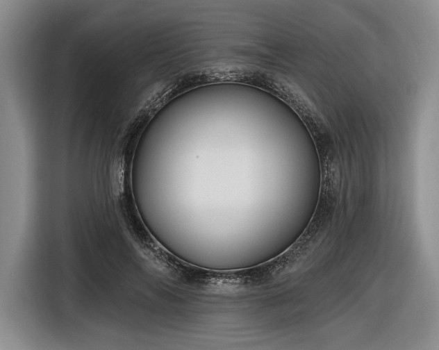 X0000116610694200912181206