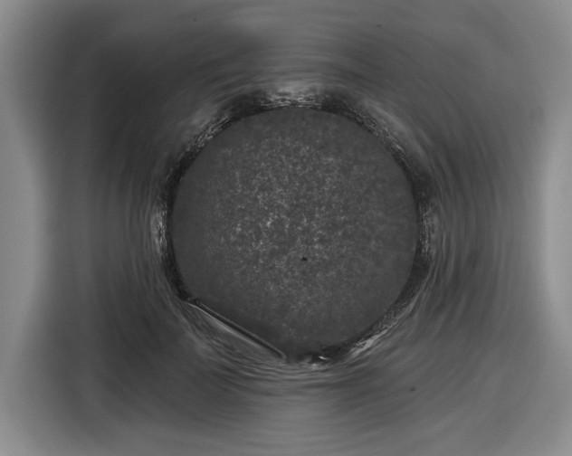 X0000116610699200912181206