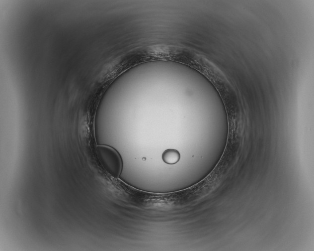 X0000116610702200912181206