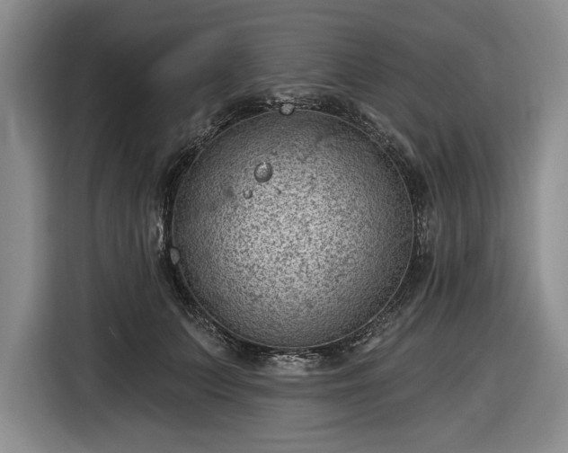 X0000116610703200912181206