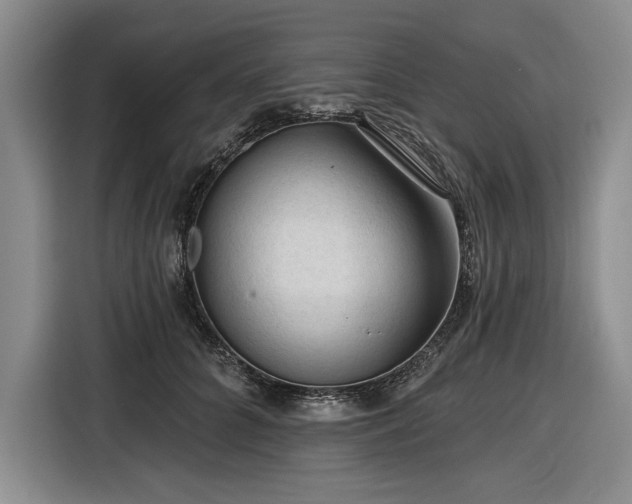 X0000116610704200912181206