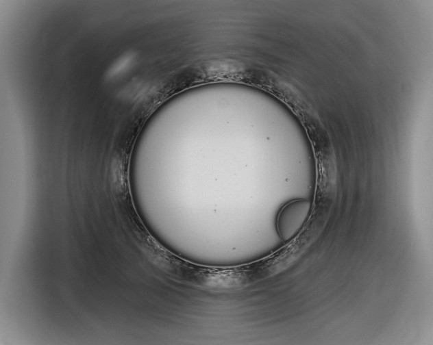 X0000116610705200912181206