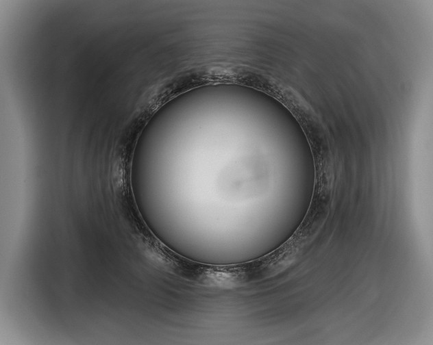 X0000116610706200912181206