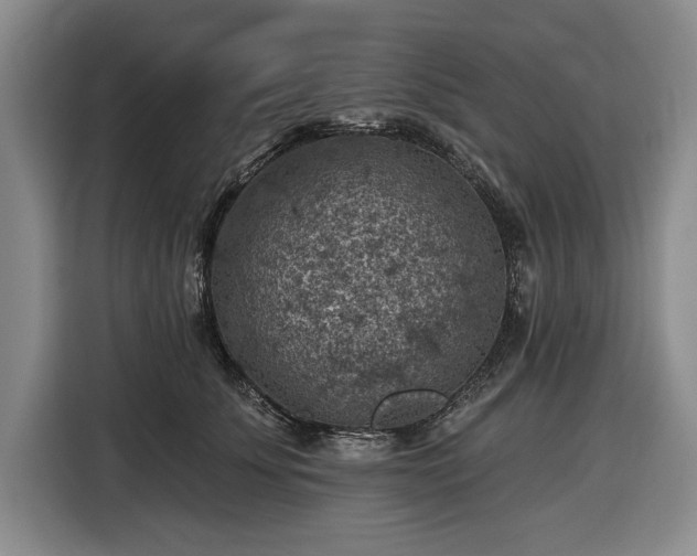 X0000116610707200912181206