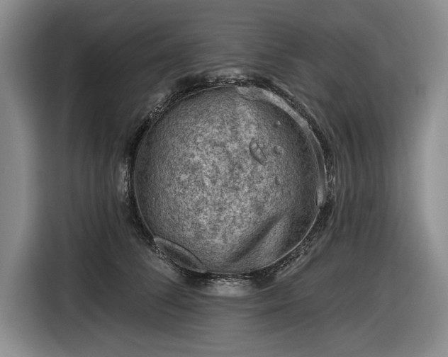 X0000116610708200912181206