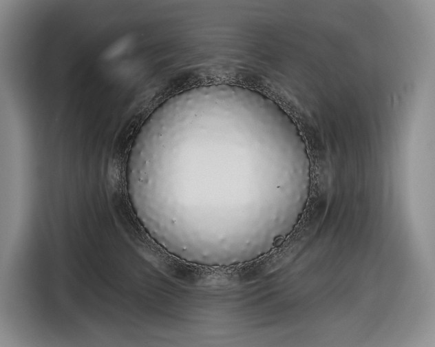 X0000116610709200912181206