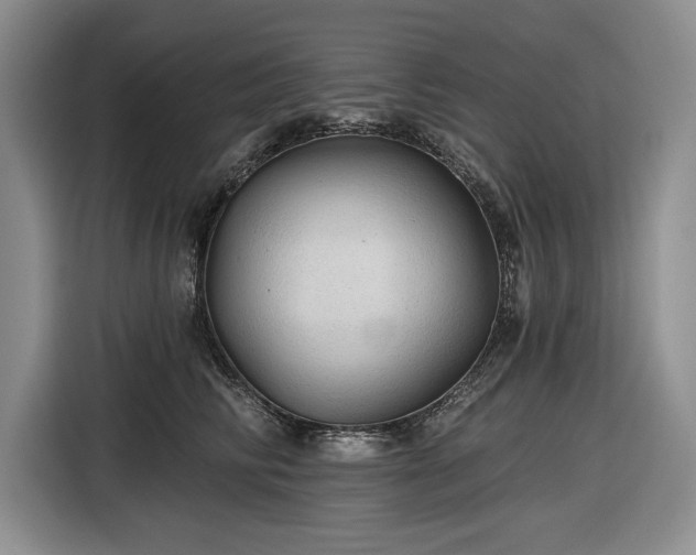 X0000116610710200912181206