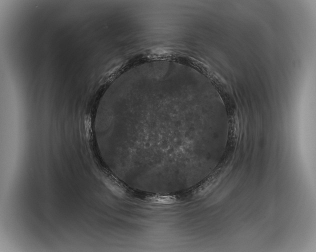 X0000116610711200912181206