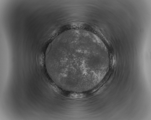 X0000116610712200912181206