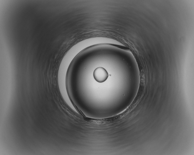 X0000116610713200912181206