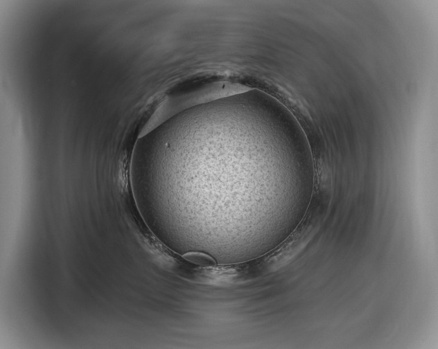 X0000116610719200912181206