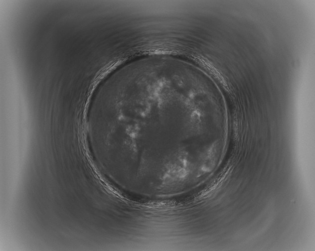 X0000116610721200912181205