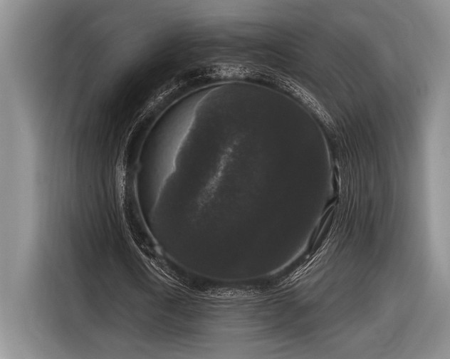 X0000116610722200912181205